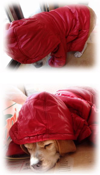 赤ずきんちゃん1