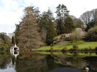 桜が咲いてましたよ