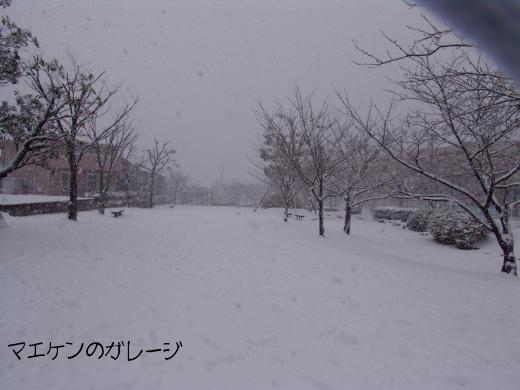 公園ですね