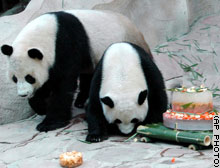 panda20051110