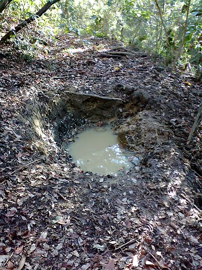 トレイルハント