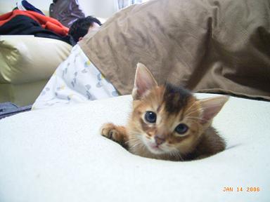 ☆女の子　　 840.JPG