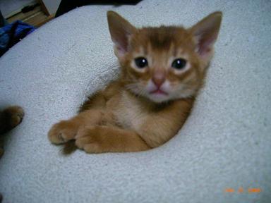 ☆男の子　　 847.JPG