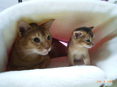 ☆オンナノコ 838 (1).JPG