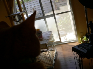 P1050054.jpg