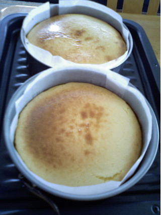 20070421cake