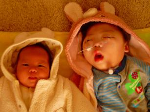 2010.12.27-6