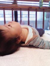 ごろりん、仰向け！！！