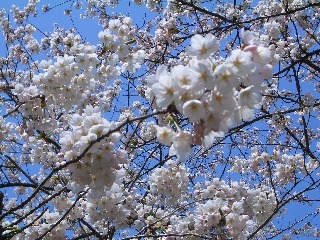 april3002_2006