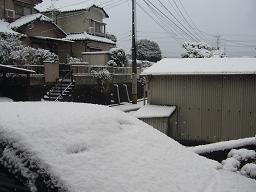 雪