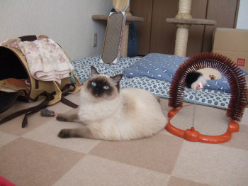 neya