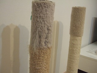DSCF3808.jpg