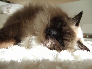 DSCF3376.jpg