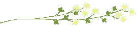 sirohanaline2.gif