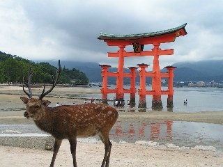 07.08.23厳島神社