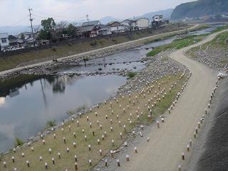 akimaturi_river_s.JPG