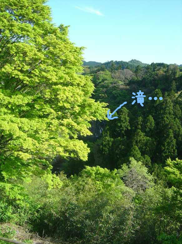 養老の滝