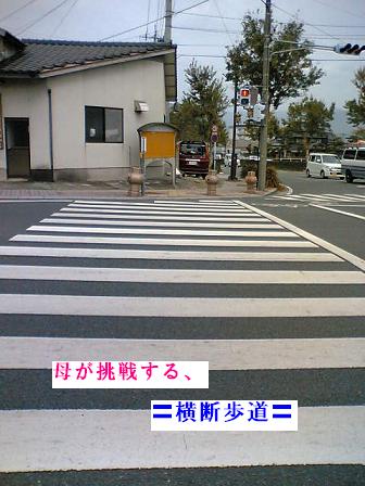 横断歩道