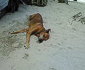 ﾌｧｲﾌｧｲケイ