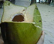 ﾌｧｲﾌｧｲｺｺﾅｯﾂ