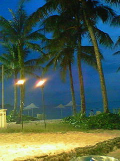 ﾆｯｺｰｻﾝｾｯﾄBBQ縦大