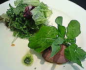 アクアドゥーエ 前菜