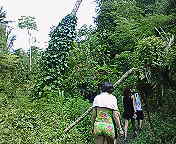 ﾌｧｲﾌｧｲ洞窟探検