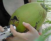 ﾌｧｲﾌｧｲｺｺﾅｯﾂ