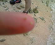 ﾌｧｲﾌｧｲ星の砂