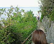 ﾌｧｲﾌｧｲﾊﾟｳﾀﾞｰｻﾝﾄﾞﾋﾞｰﾁへの道のり