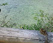 ﾌｧｲﾌｧｲﾊﾟｳﾀﾞｰｻﾝﾄﾞﾋﾞｰﾁへの道のり