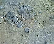 ﾌｧｲﾌｧｲﾊﾟｳﾀﾞｰﾋﾞｰﾁ