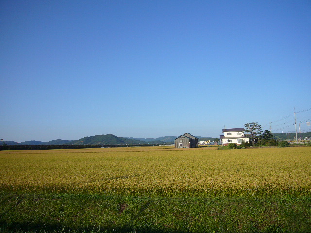 富良野