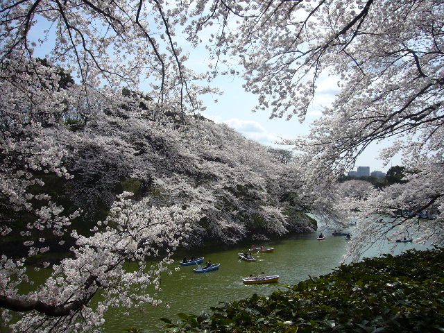 千鳥ヶ淵公園