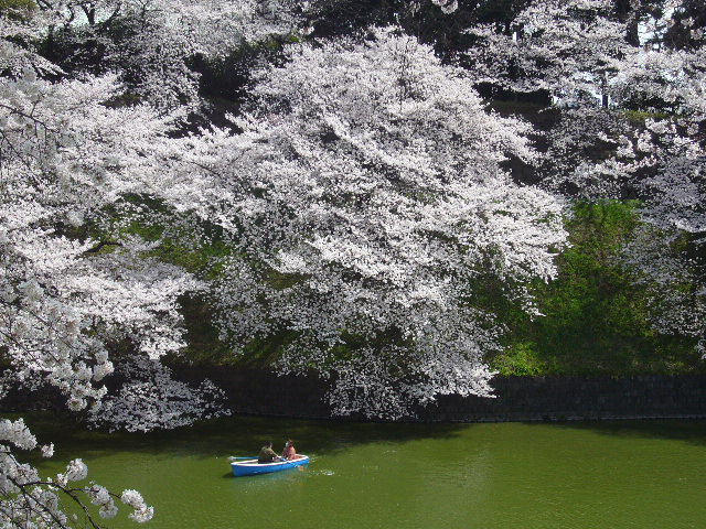 千鳥ヶ淵公園