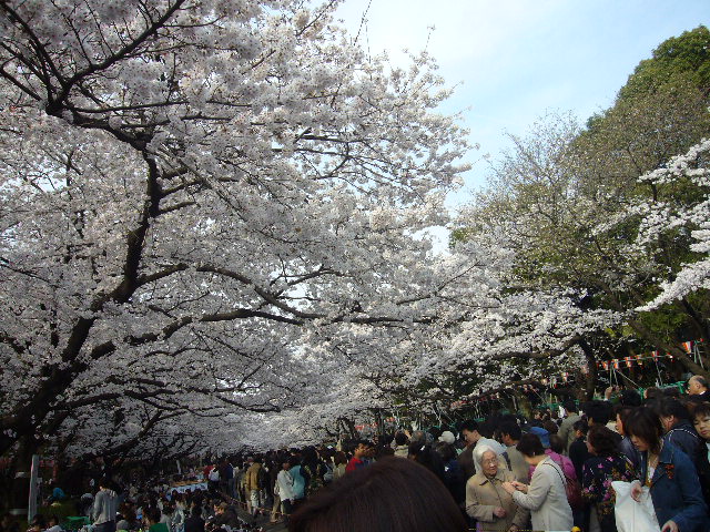 上野恩賜公園