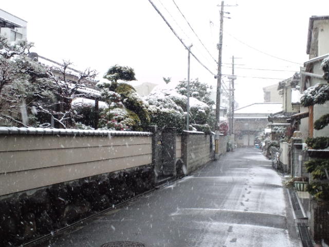 薄っすら雪景色