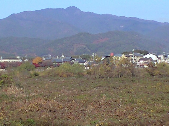 鳥居形