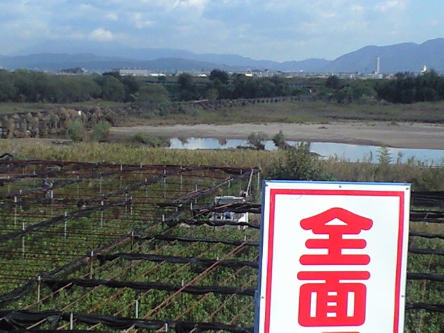 流れ橋全景