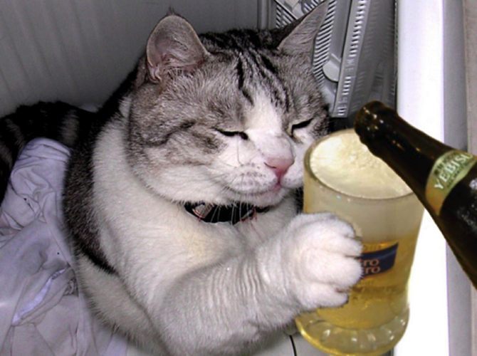 ビール