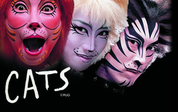 CATS