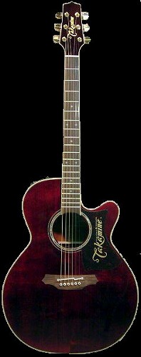 Takamine　TDP-500SP