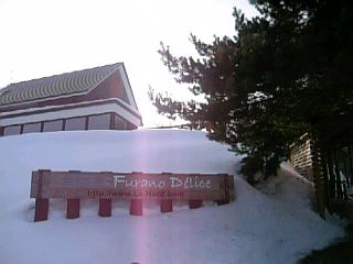 フラノデリス１