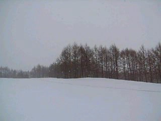 周遊コース景色