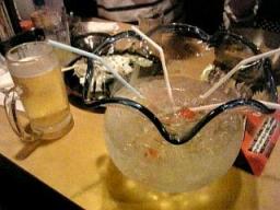 金魚鉢チューハイ
