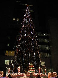 新梅田シティのクリスマスツリー