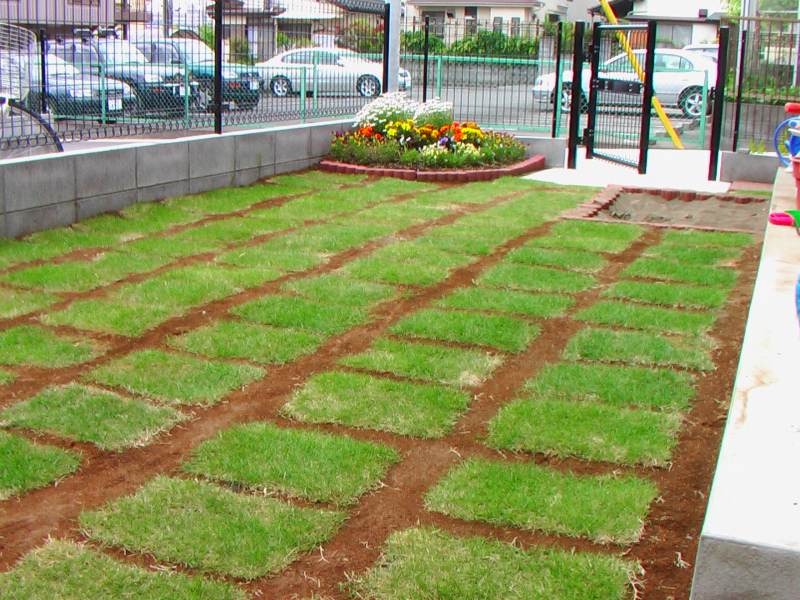 2005年5月頃の庭