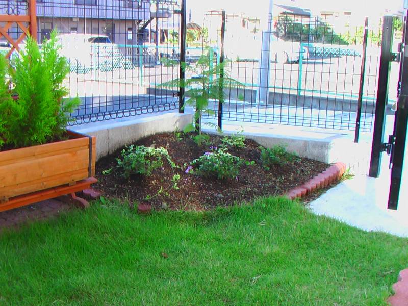 2005年10月頃の花壇