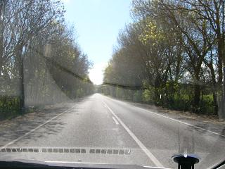 P1050117.JPG
