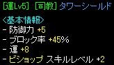4.9盾.JPG